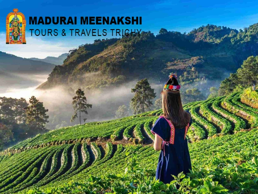 Hill Station Tour Packages from Trichy
