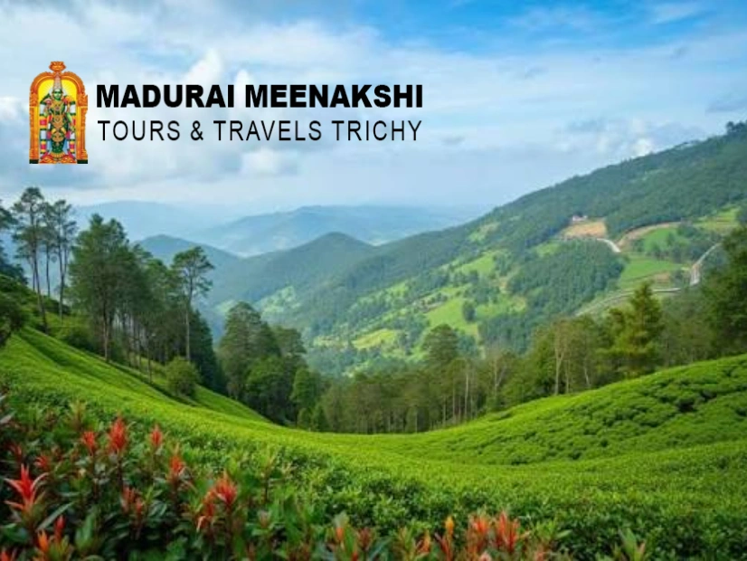 Ooty Tour Packages from Trichy - Madurai Meenakshi Tours and Travels